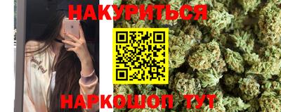 молекула духа Ставрополь