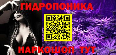 шишки Ликино-Дулёво