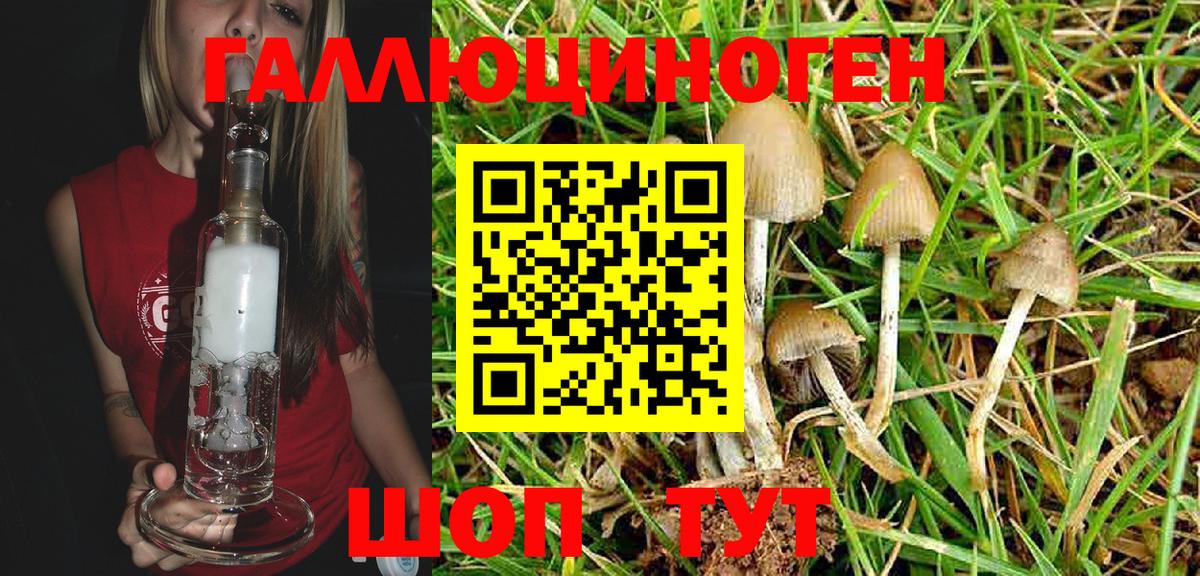 Псилоцибиновые грибы Magic Shrooms Фурманов