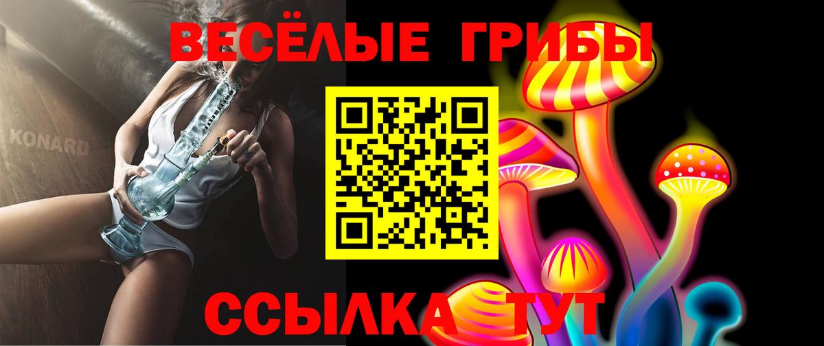 Галлюциногенные грибы Psilocybine cubensis Фурманов
